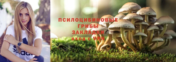 трава Навашино