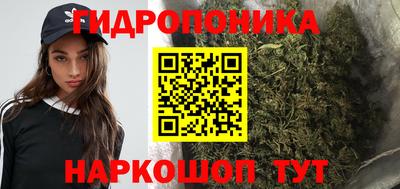 скорость Гусев