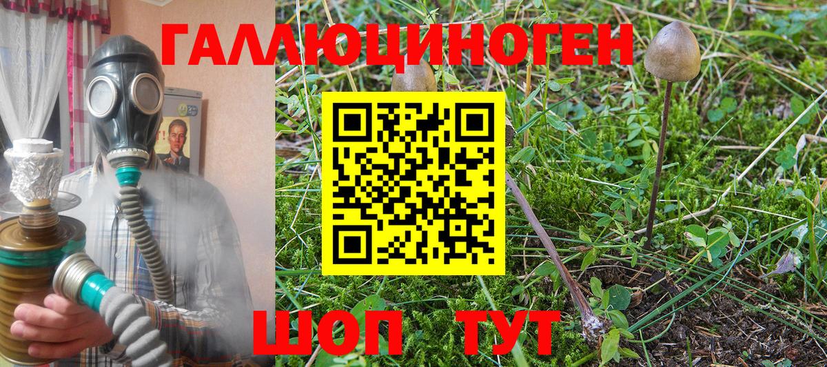 Псилоцибиновые грибы Magic Shrooms Нижнеудинск